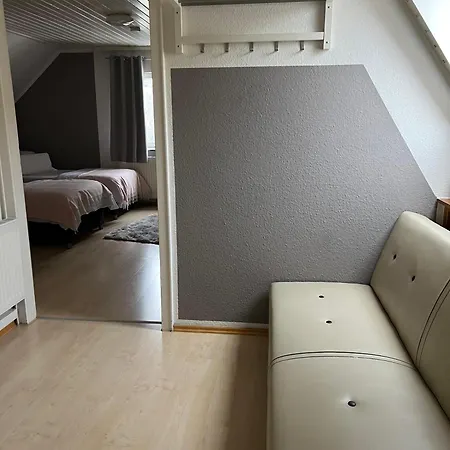 Geraeumige Ferienwohnung In Direkter Naehe Zum Rhein *
